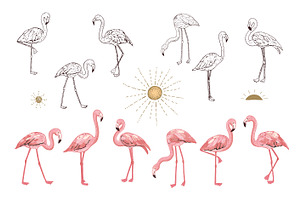 Flamingo Drawing