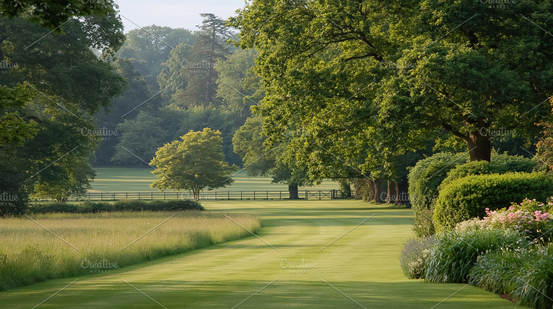 Green park landscape opening to a distant forest on a serene morning, featuring, a Photo by Studio ANNA
