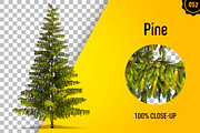 CUT OUT TREES - 60 PCS BUNDLE, a Packaging Mockup by 3DSTORE (Thumbnail 53 of 63)