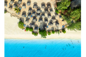 Aerial view of palm trees, umbrellas, a Nature Photo by den-belitsky