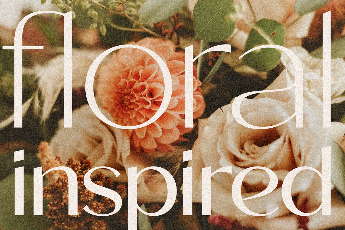 Roden, a Sans Serif Font by Larin Type Co. (Photo 10 of 15)