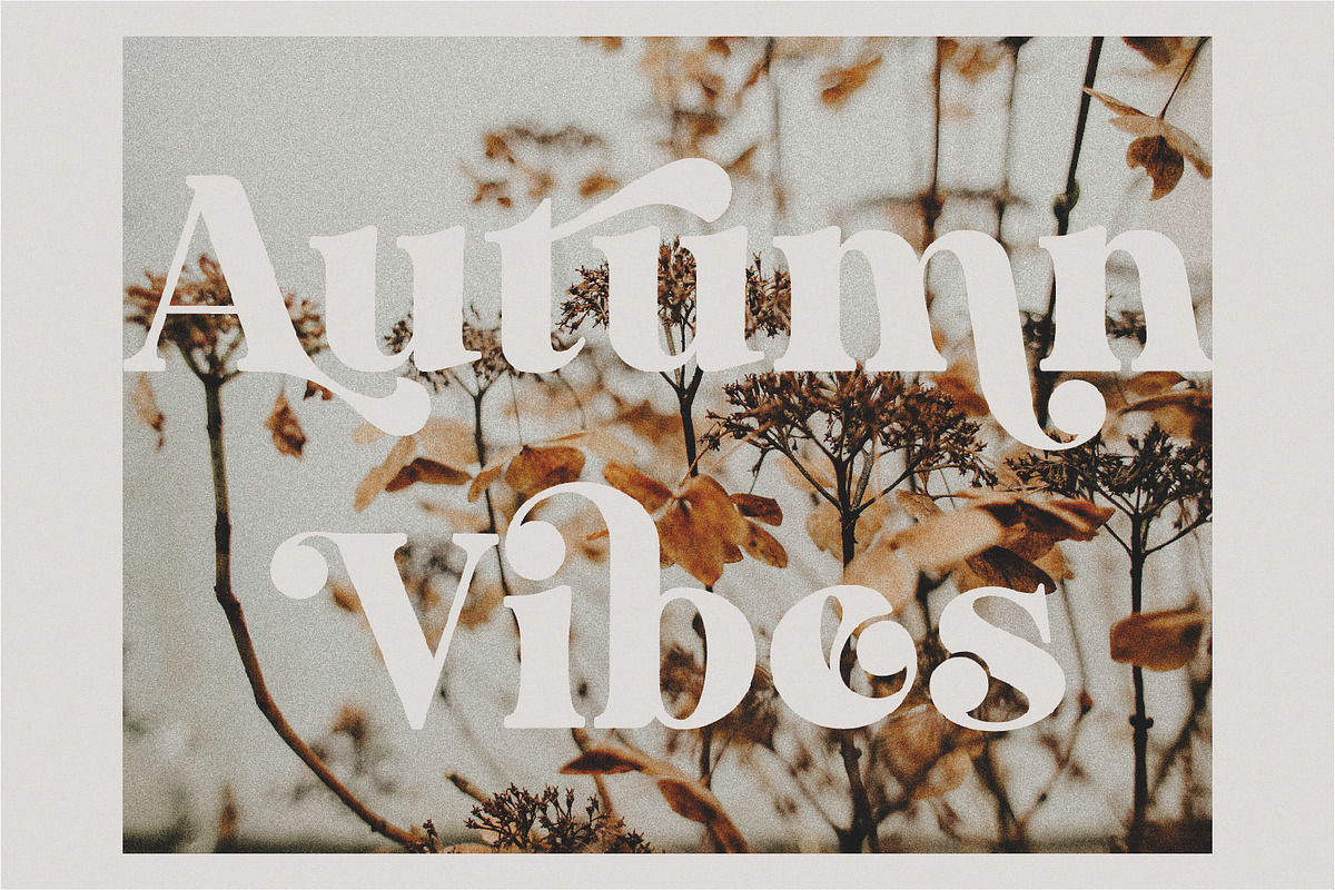 Dakosta | Retro Serif Typeface, a Serif Font by MchCrafter (Photo 3 of 15)