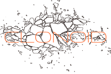 Clonoid
