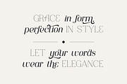 Consumer Type - elegant font family, a Serif Font by VP Fonts (Thumbnail 2 of 18)