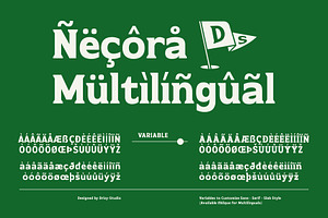 Necora Multiple Axes Classic Font