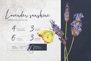 Lavender sunshine