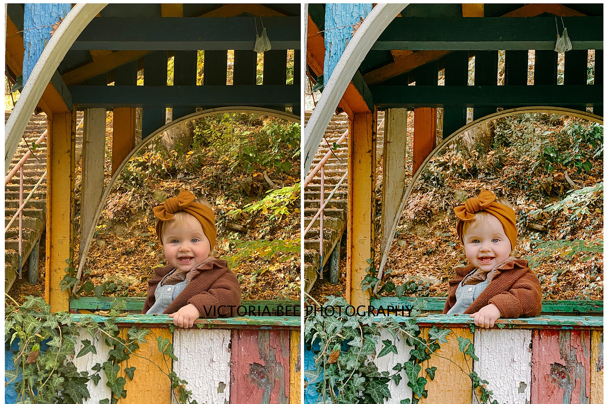 FALL LIGHTROOM PRESETS BRIGHT AUTUMN, a Preset Add-On by Victoria Bee Presets (Photo 7 of 9)
