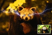 Glowing Eyes Photo Effects, an Action Add-On by Hubzway (Thumbnail 5 of 6)