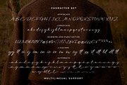 Mellanika, a Script Font by Arterfak Project (Thumbnail 10 of 12)