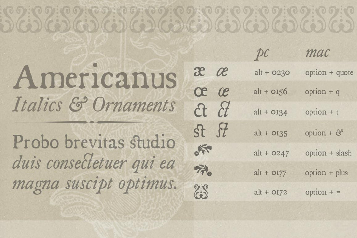 Americanus Family preview 3