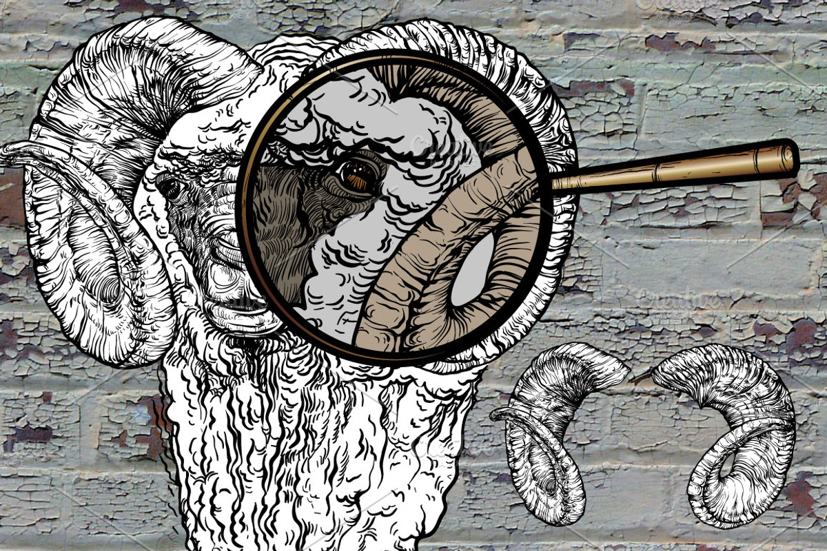 Hand drawn Ram, an Animal Illustration by ArtOwl (Photo 2 of 5)