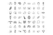 Human internal organs, an Outline Icon by Tettygreen (Thumbnail 1 of 2)