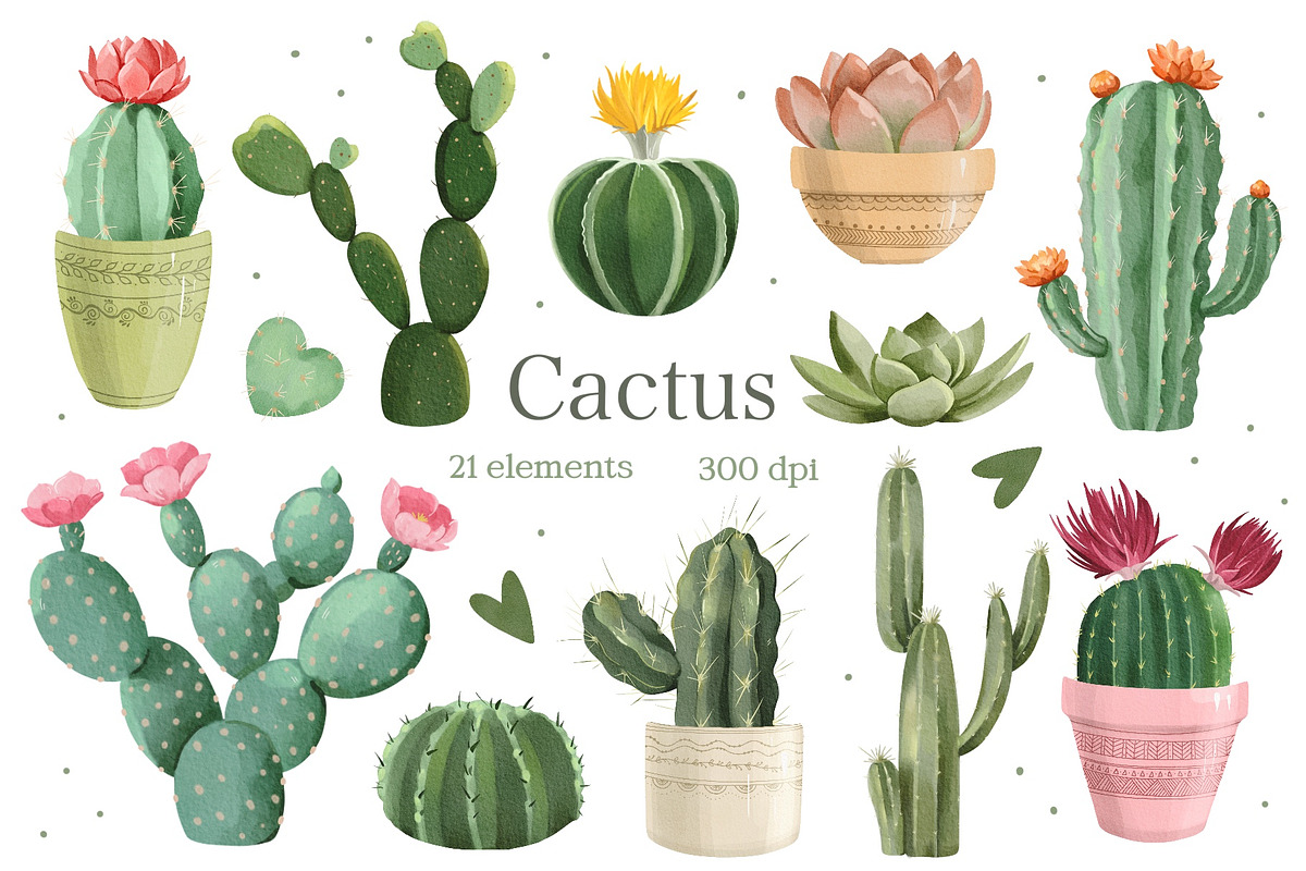 Watercolor Cactus, Succulent Clipart, an Object Illustration by ArtGiftsStudio (Photo 1 of 4)