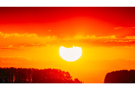 Big Sun in Forest shadow, silhouette, a Nature Photo by Our Amazing World