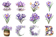 Watercolor Crocuses Flowers ClipArt, an Illustration by CitraGraphics (Thumbnail 4 of 4)