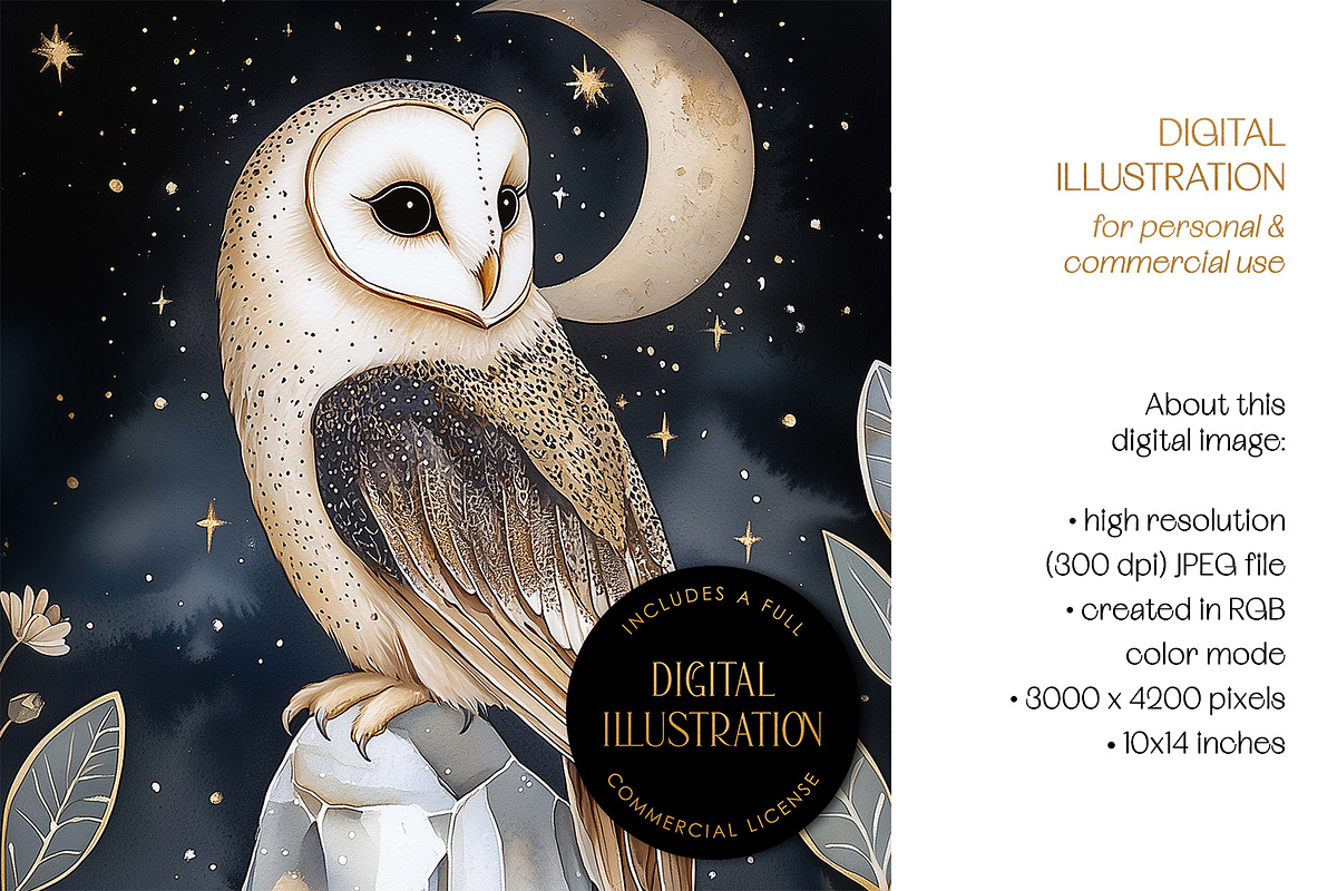 Barn Owl & Rock Crystal Illustration, an Animal Illustration by The Dutch Lady Designs (Photo 4 of 4)
