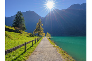 Scenic view of a walking path along, a Nature Photo by den-belitsky