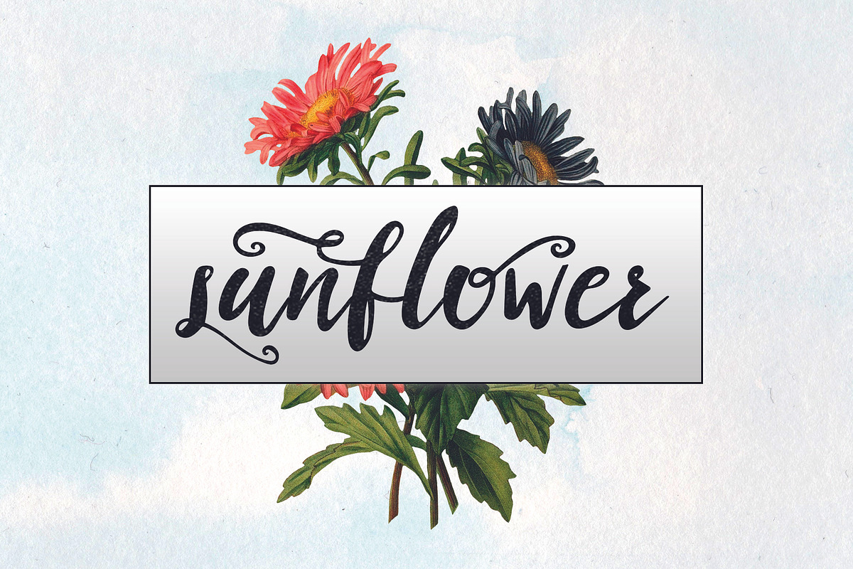Kity Katrina Script Font preview 4