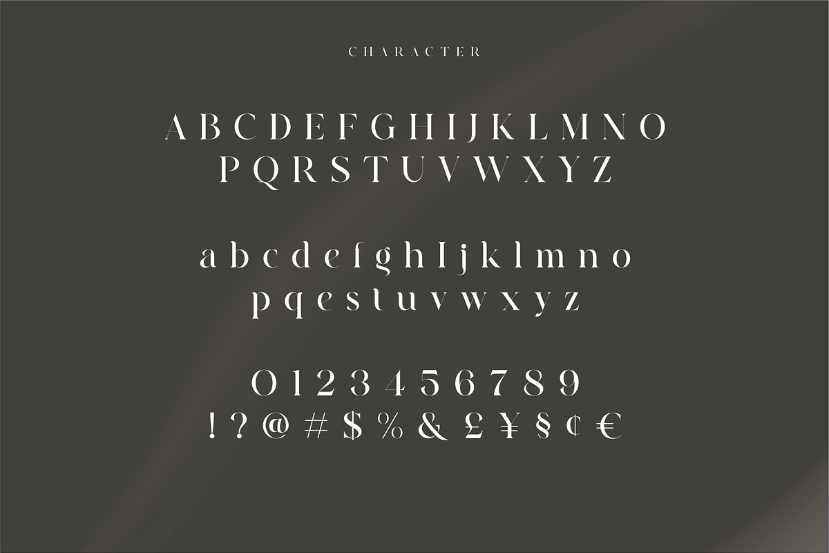 Quainy Modern Serif Font, a Serif Font by Dylla_studio (Photo 12 of 12)