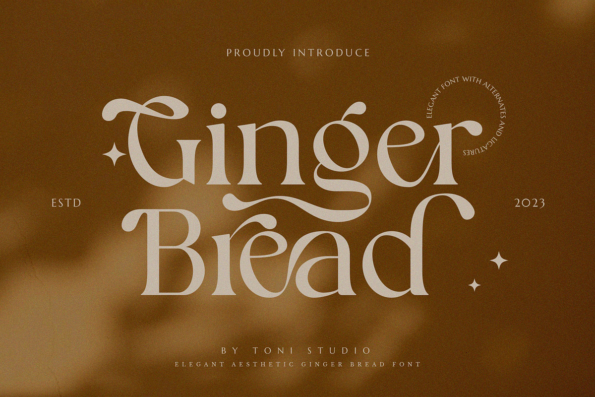 Ginger Bread, a Serif Font by ToniStudio (Photo 1 of 10)