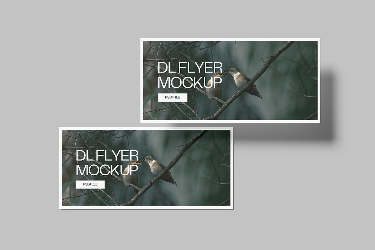 Landscape DL Flyer Mockup, a Print Template by Graphiculon (Photo 12 of 13)