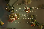 Nikolas Modern Serif Font, a Serif Font by Graphicxell (Thumbnail 7 of 8)