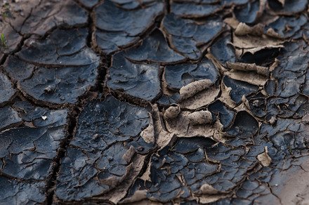 Texture of dry cracked earth, a Nature Photo by BUTKO Magazine