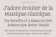 DT Augustina Slab 2 Subfamily, a Slab Serif Font by Deveze Type Foundry (Thumbnail 4 of 30)