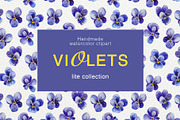 Violets – Floral Collection, a Graphic by NGliory (Thumbnail 1 of 5)