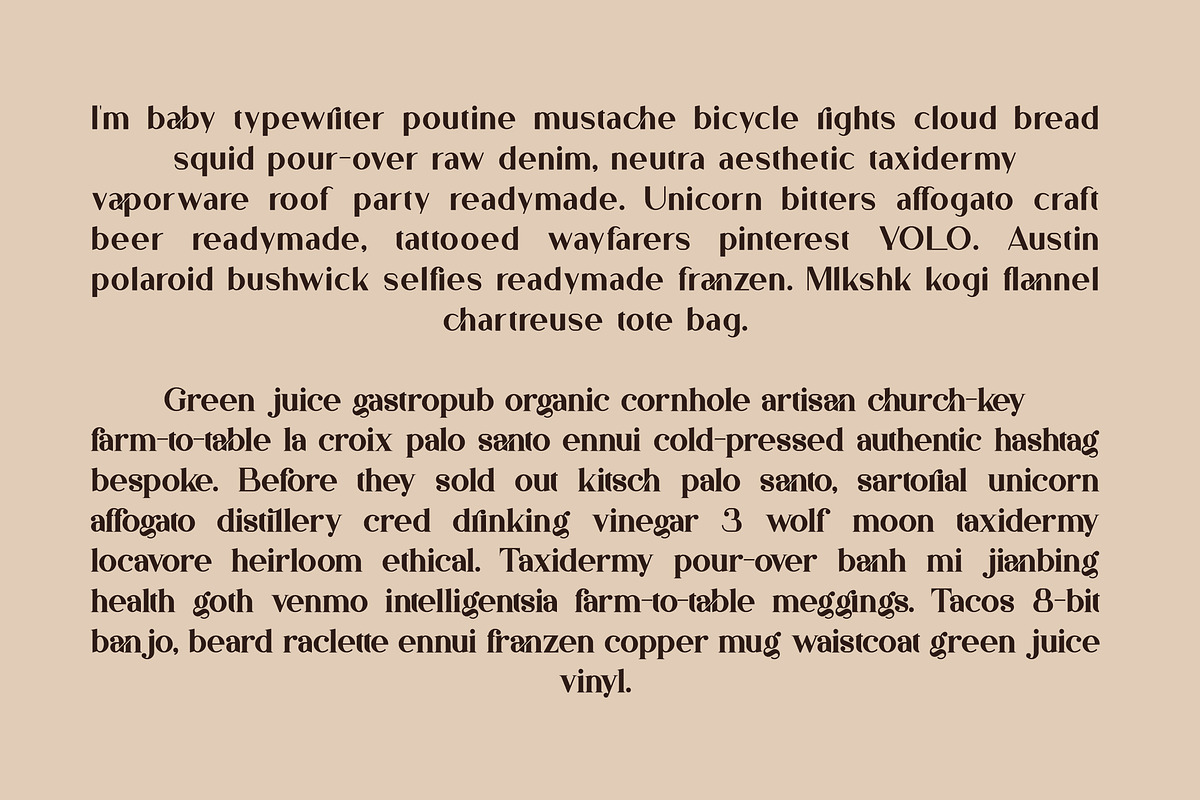 Bungalow Typeface - 9 fonts, a Serif Font by VP Fonts (Photo 3 of 19)