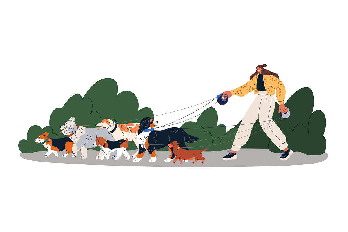 Woman walking group of dogs, an Animal Illustration by Good Studio