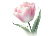 Summer Flowers Sublimation Clipart P, an Illustration by Designking (Thumbnail 3 of 6)