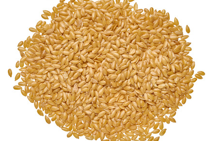 Heap of flax seeds on isolated background, a Food & Drink Photo by ndanko