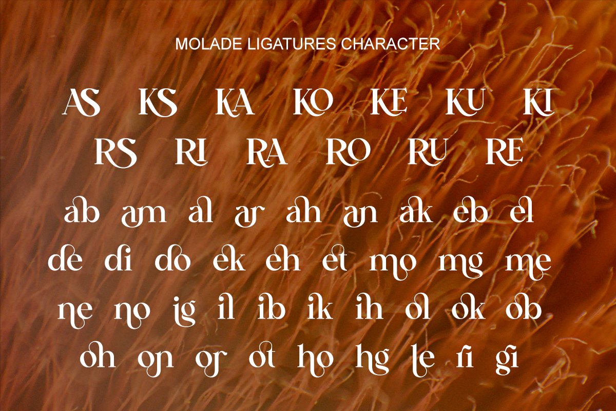 Molade - Modern Ligature Font, a Serif Font by RagamKata (Photo 9 of 10)