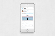 Quotes Twitter Posts, a Social Media Template by Social Corner Graphics (Thumbnail 6 of 7)