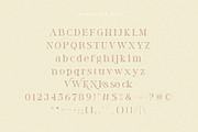 Rolaxs, a Serif Font by ToniStudio (Thumbnail 7 of 10)