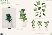 Plant Lovers Collection, a Texture Illustration by Julia Dreams (Thumbnail 5 of 12)