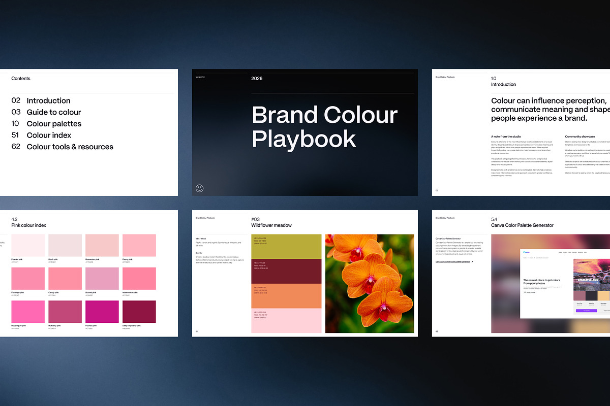 Brand Colour Playbook for Designers, a Palette Add-On by Charter 77 (Photo 6 of 6)