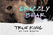 Silence Bear Font, a Font by BodigStd (Thumbnail 8 of 9)