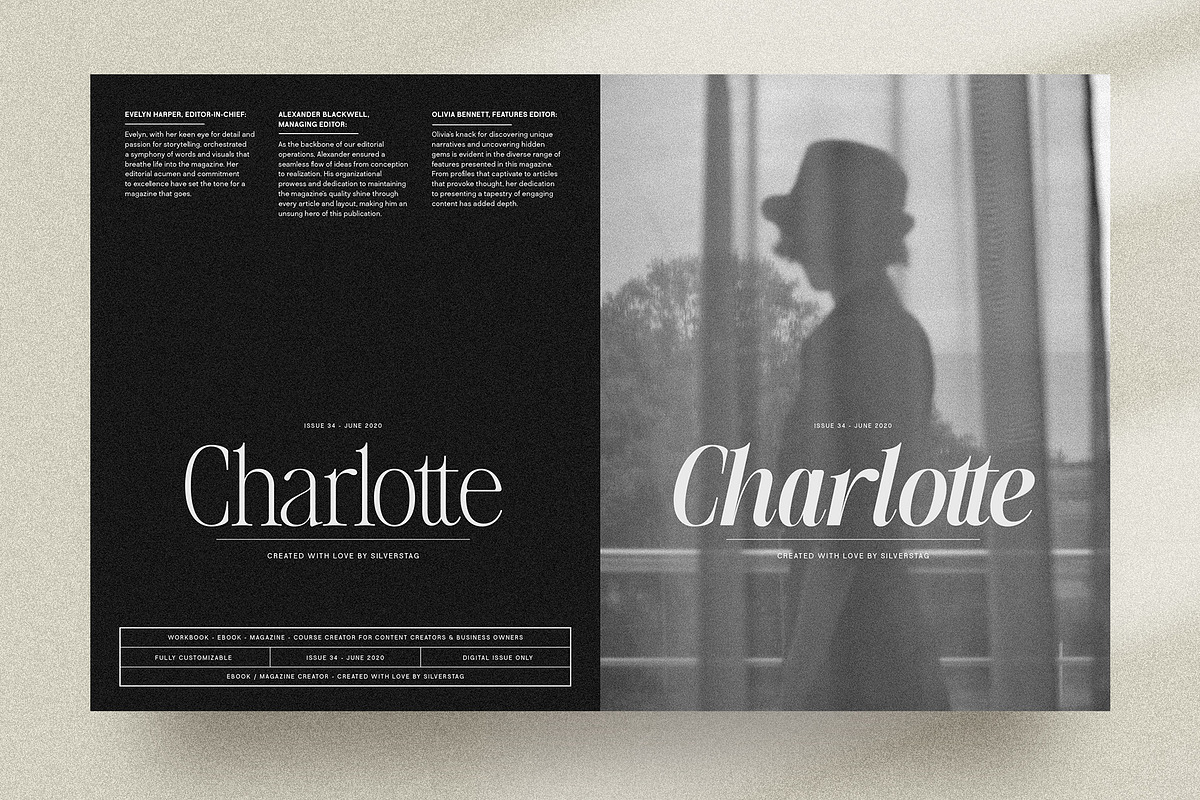 The Silver Editorial - 18 Fonts Pack, a Serif Font by SilverStag Type Foundry (Photo 23 of 30)