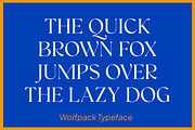 Wolfpack Elegant Stylish Font, a Serif Font by Vampstudio (Thumbnail 6 of 14)