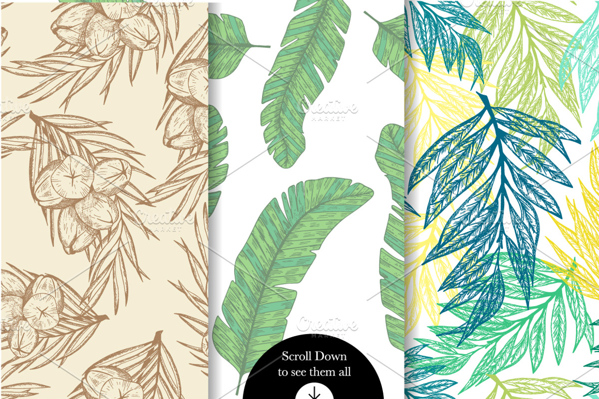 Tropical fruits collection, a Decorative Illustration by TashaDraw (Photo 3 of 10)