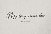 Starbricks - Handbrush Font, a Script Font by Garisman Std (Thumbnail 7 of 8)