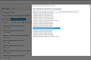 Facebook Feed Pro WordPress Plugin, a Plug-in Add-On by Weblizar Themes & Plugin (Thumbnail 3 of 8)
