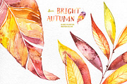 Bright Autumn. Watercolor collection, an Illustration by OctopusArtis (Thumbnail 6 of 6)