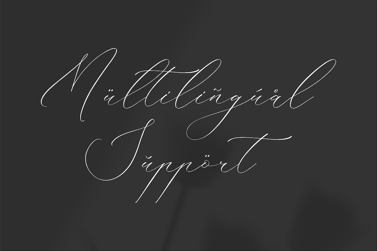 Delistian Valentine Beauty Script, a Script Font by Storytype Studio (Photo 12 of 15)