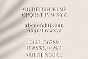 Regina, a Serif Font by ToniStudio (Thumbnail 2 of 8)