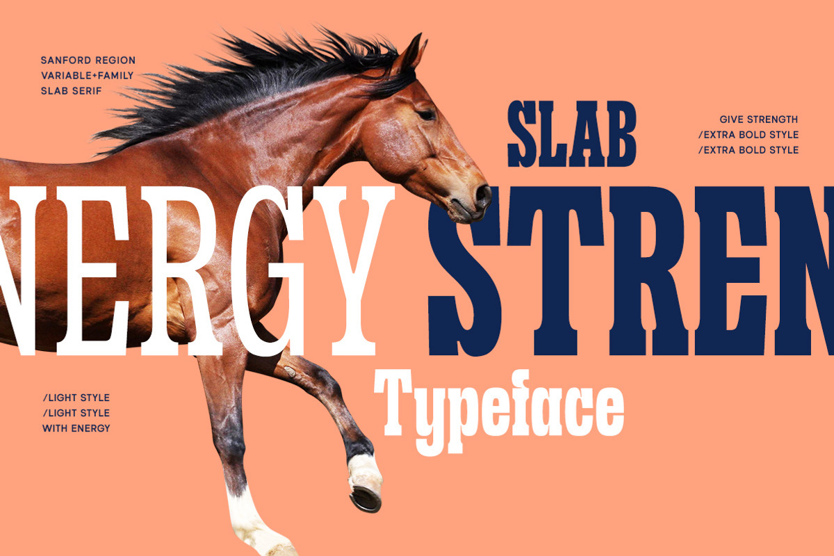 Sanford Region - Variable Font, a Slab Serif Font by Letterhend Studio (Photo 4 of 11)