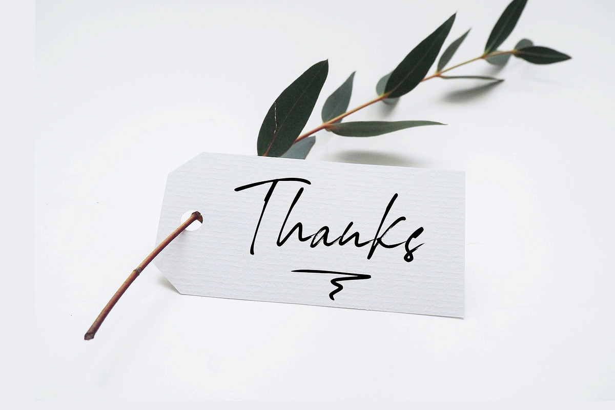 Kedsita Signature Font, a Handwritten Font by Moodtype (Photo 12 of 12)