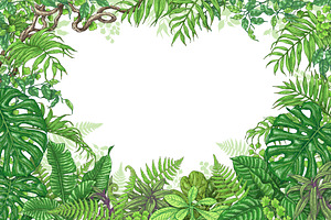 Amazon Rainforest Frame